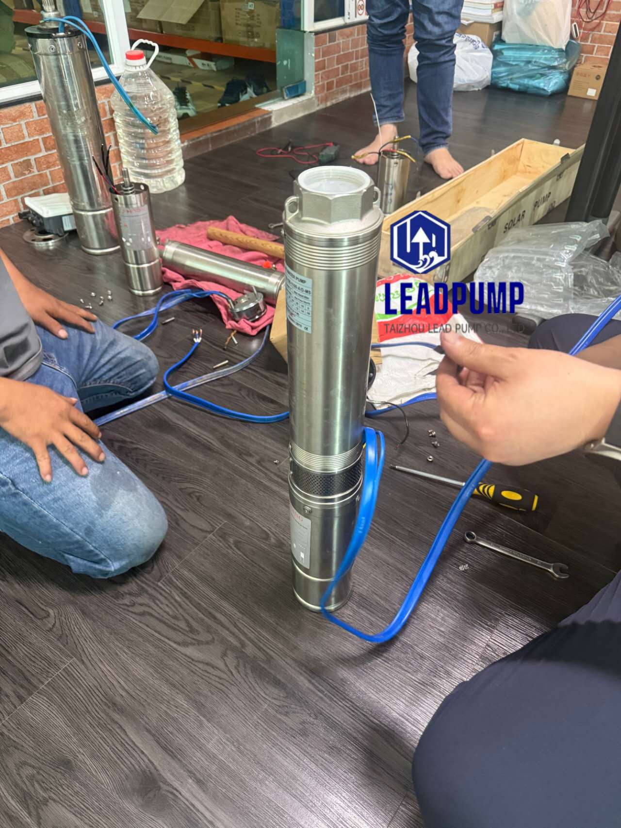 Taizhou Lead Pump co., Ltd corre para atribuir o cliente no sudeste da Ásia com problema de bomba de água solar
